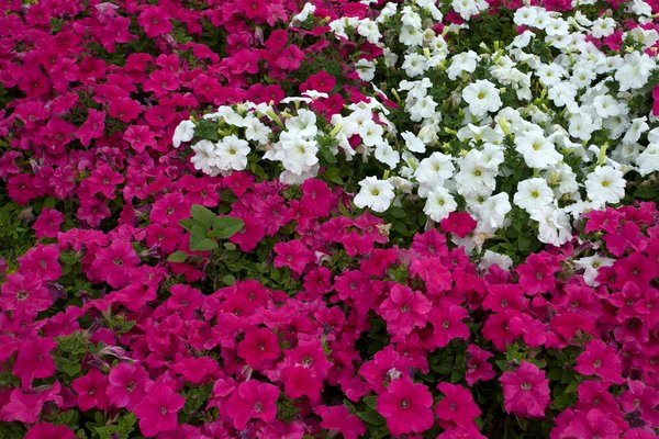 What are the most efficient home office setups for small UK spaces?